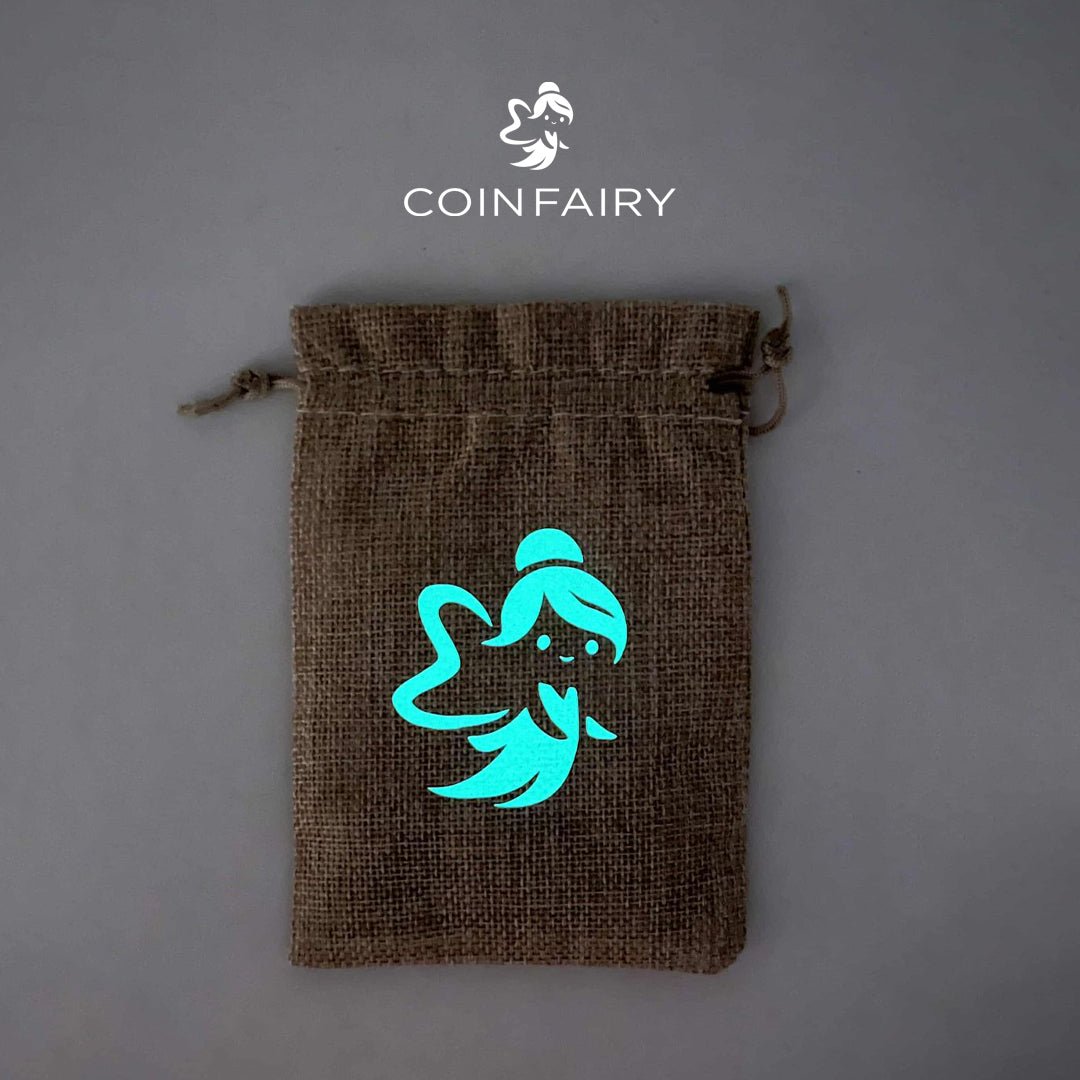 Coin Fairy Coin Counting and STEM Learning Game - Coin Fairy