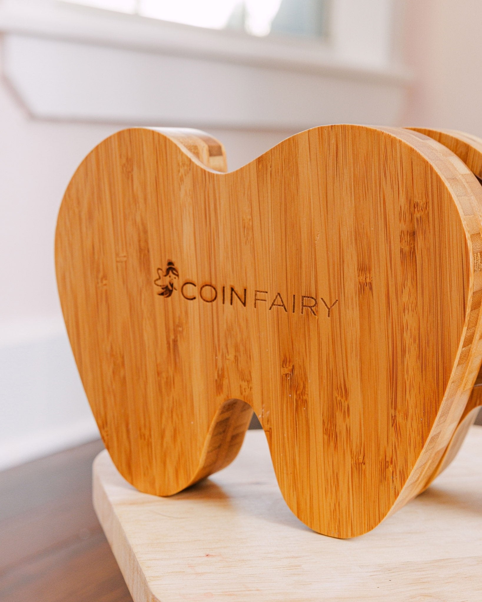 Coin Fairy Savings Bank - Coin Fairy