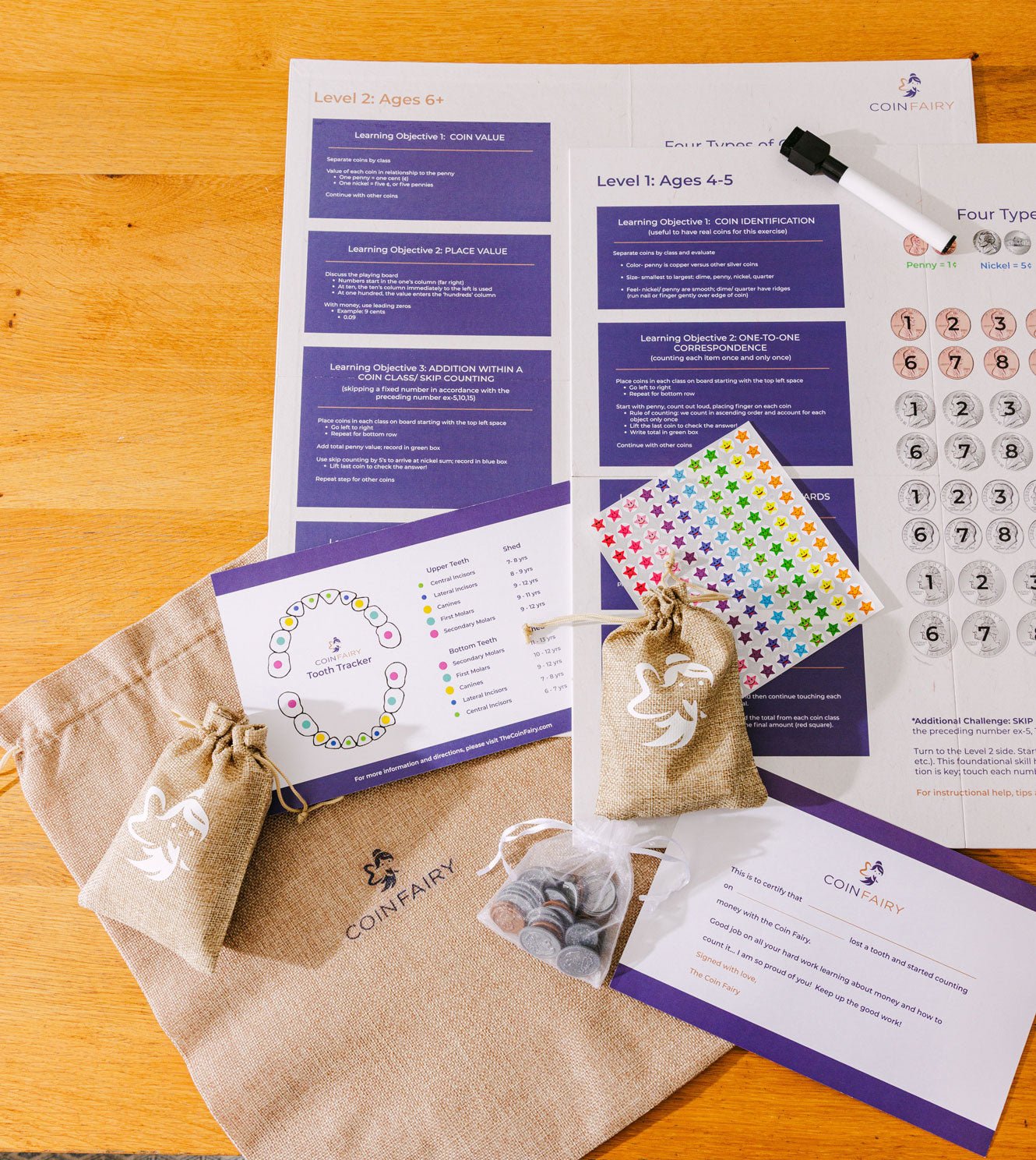 Coin Fairy STEM Learning Game - Coin Fairy