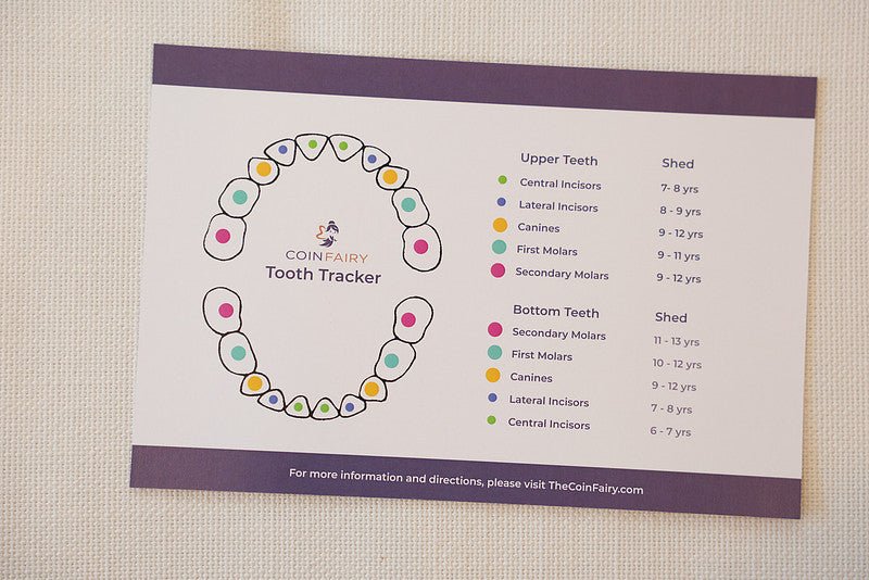 Tooth Tracker with Stickers - Coin Fairy